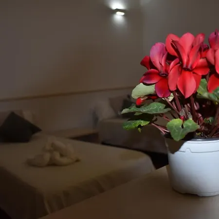 Sikelia Bed & Breakfast Santa Domenica Vittoria